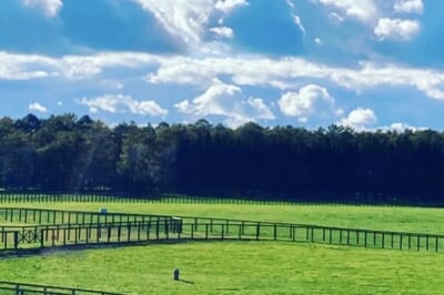 DCCBDAEF-30AE-4EB0-855C-4118378EB181_1_201_a